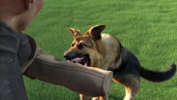 Jeu d'entraînement d'animaux en route avec Animal Trainer Simulator