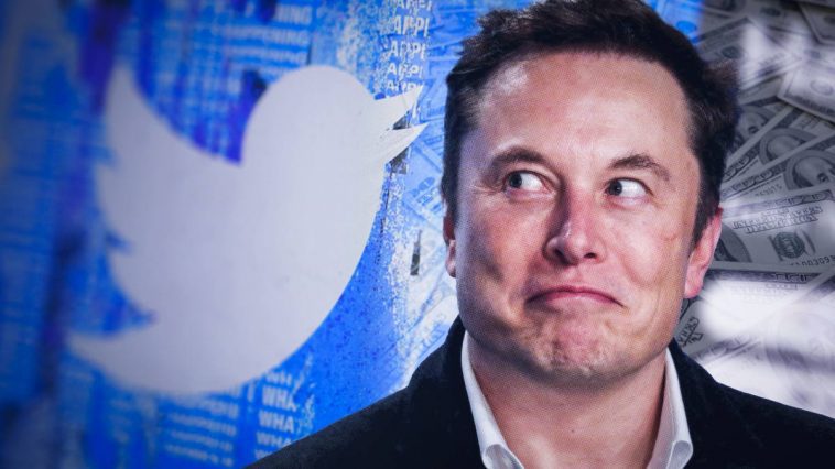 Elon Musk Twitter amnistia contas utilizadores