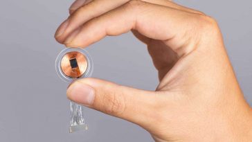 Neuralink Elon Musk dispositivo humanos testes