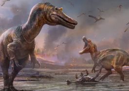 Dinossauros