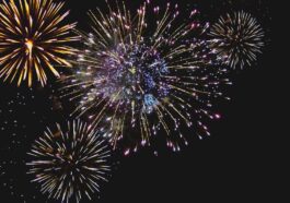 Festas de final de ano: Quanto custaram? Há um portal que lhe diz...