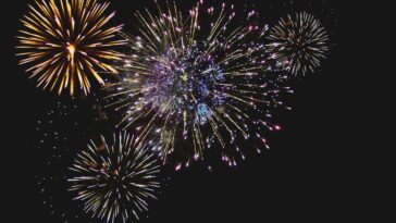 Festas de final de ano: Quanto custaram? Há um portal que lhe diz...