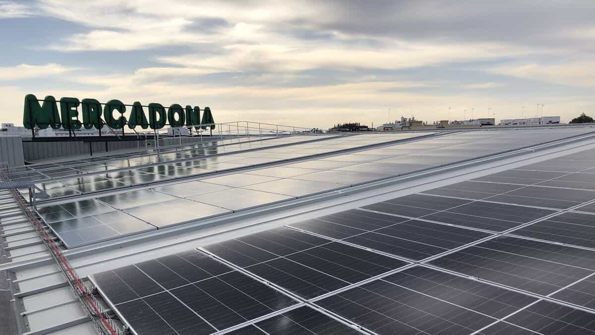 Painéis solares numa superfície da Mercadona