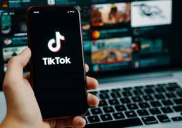TikTok dados API investigadores EUA
