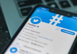 Twitter Blue Elon Musk utilizadores