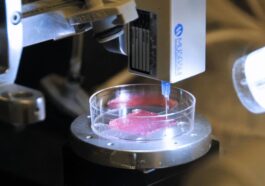 Bioimpressão 3D