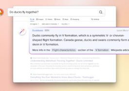 DuckAssist DuckDuckGo pesquisa IA resumo