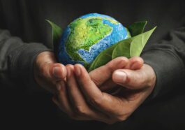 Imagem ilustrativa de Greenwashing