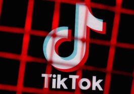 86% conviennent que TikTok devrait être interdit sur les équipements officiels de l'État