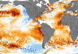 Inquiétant : la température à la surface de l'océan monte à 21,1°C