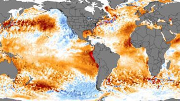 Inquiétant : la température à la surface de l'océan monte à 21,1°C