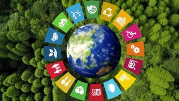 Sabe o que são ODS? Conheça os 17 da agenda 2030