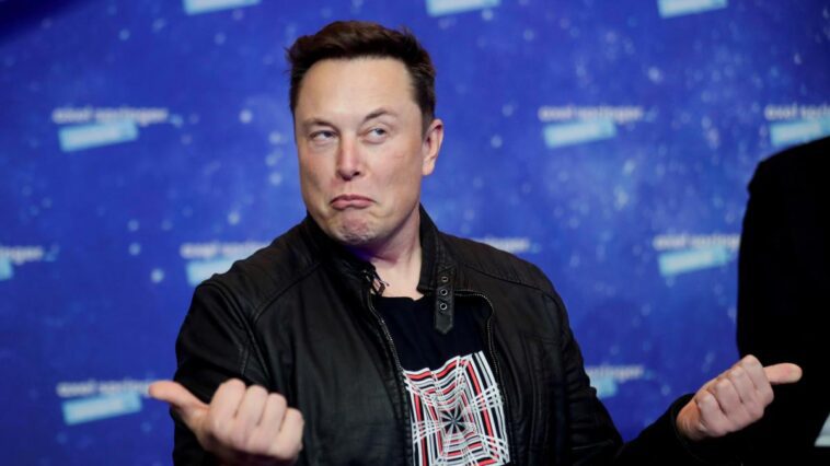 Elon Musk TruthGPT IA verdade OpenAI