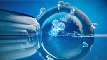 Fertilização in Vitro