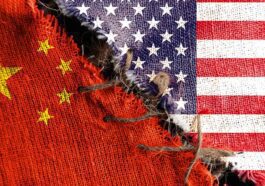 L'Allemagne déclare qu'elle n'a pas l'intention d'interdire l'expédition de produits à base de puces vers la Chine
