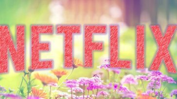 Ce sont les premières de films et de séries sur Netflix pour mai