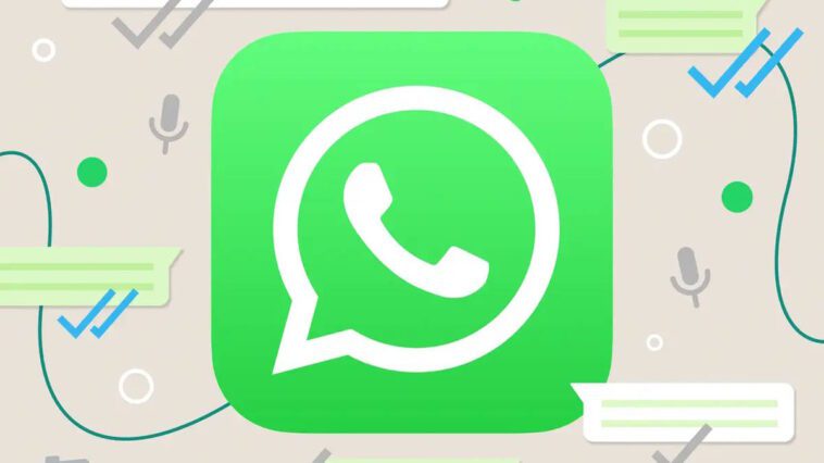 WhatsApp funcionalidades Sondagens legendas partilha