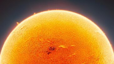 Incroyable image du Soleil cache un détail très intéressant.  Peux-tu identifier?