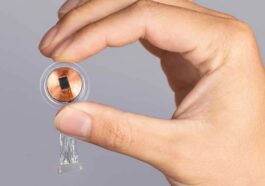 Neuralink de Elon Musk pode avançar com os testes de chips cerebrais em humanos