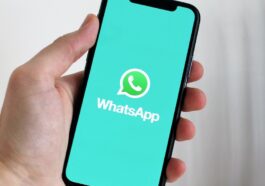 WhatsApp: Saiba como pode pesquisar mensagens por data