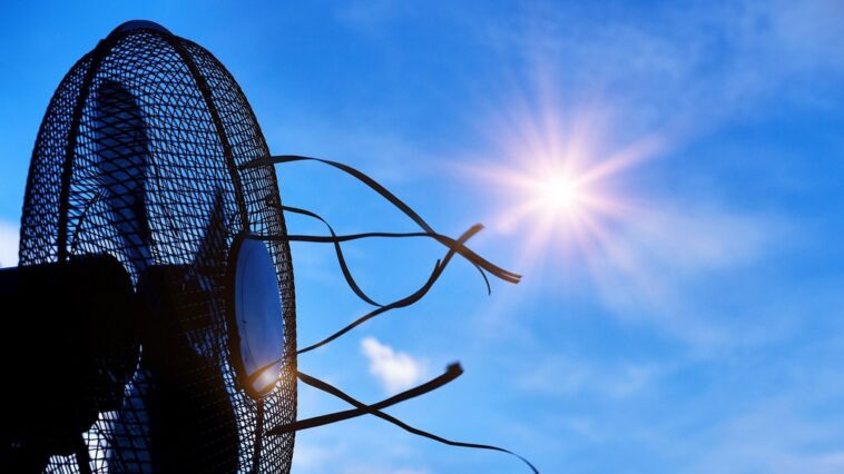 Ondas de calor estão a levar as redes elétricas ao limite em todo o mundo