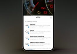Imagem da Procura visual, Visual Look Up no iOS 17
