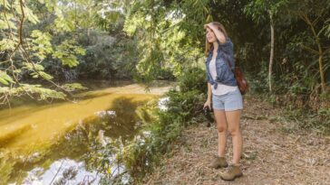 As apps Android essenciais para quem vai de férias para a natureza
