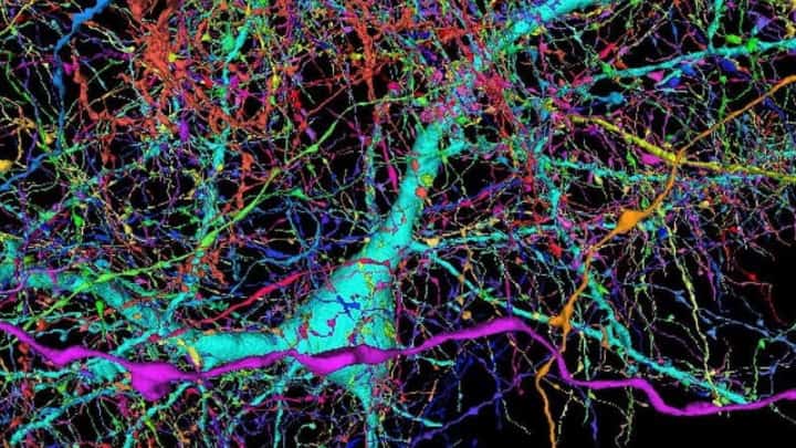 Vous souhaitez immortaliser votre esprit ? Un jour il sera possible de le transférer sur un ordinateur 3 Cerveau