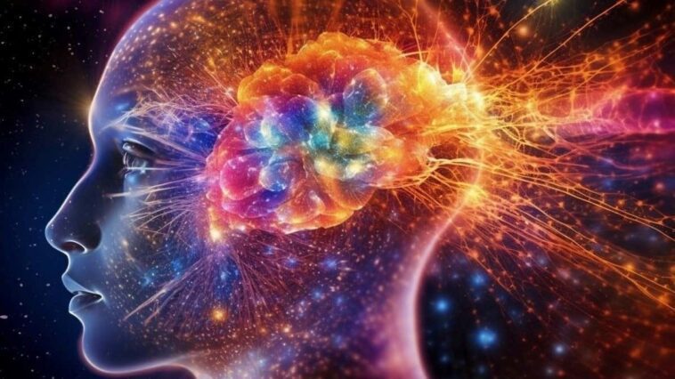 Vous souhaitez immortaliser votre esprit ? Un jour il sera possible de le transférer sur un ordinateur 1 Cérebro e mente