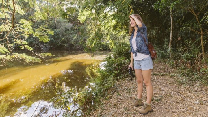 Les applis Android indispensables pour ceux qui partent en vacances en pleine nature 2 Les applications Android indispensables pour ceux qui partent en vacances dans la nature
