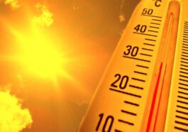 Record : la température moyenne de la Terre atteint 17,18°C