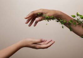 Hisense quer ajudar a construir um futuro mais sustentável para o planeta