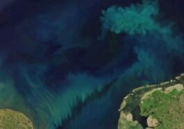 Oceanos de azul para verde