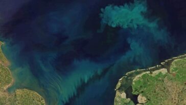 Oceanos de azul para verde