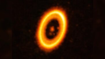 Imagem de sistema planetário e exoplanetas com órbitas partilhadas