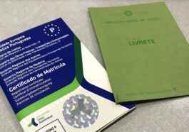 Document de voiture unique : Vérifiez si votre adresse est correcte…