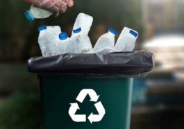 Uma regra dos Três 3 Rs: Reciclar