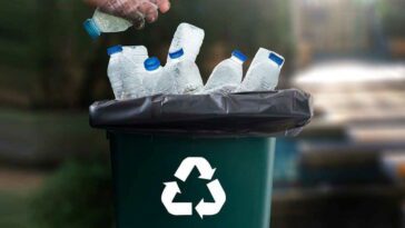 Uma regra dos Três 3 Rs: Reciclar