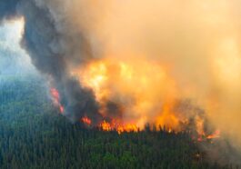 Imagem dos incêndios no Canadá que levaram muitas pessoas a pedir ajuda aos bombeiros via SOS Emergência via Satélite do iPhone 14