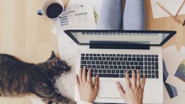 Le télétravail réduit la productivité des travailleurs de 18 %, selon une étude