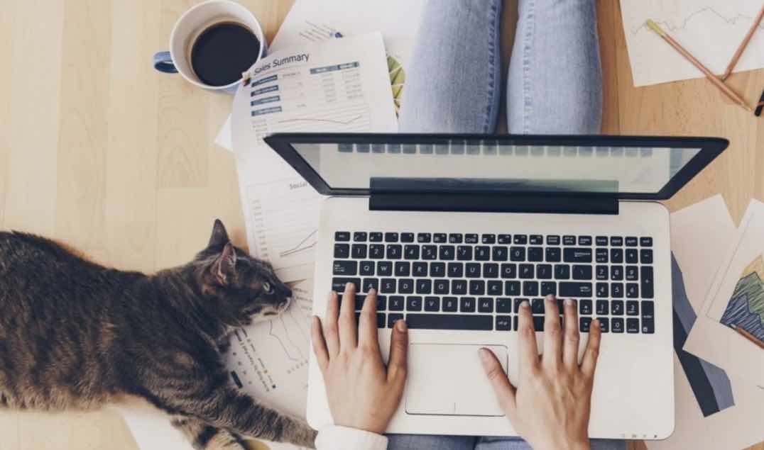 Le télétravail réduit la productivité des travailleurs de 18 %, selon une étude 70 Le télétravail réduit la productivité des travailleurs de 18 %, selon une étude