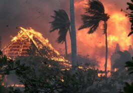 Le plus grand service public d'électricité d'Hawaï est accusé d'avoir causé les incendies