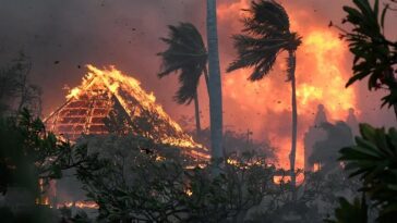 Le plus grand service public d'électricité d'Hawaï est accusé d'avoir causé les incendies