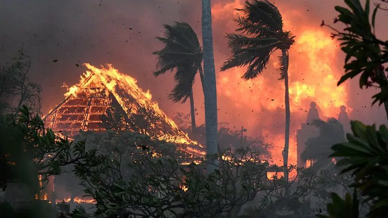 Le plus grand service public d'électricité d'Hawaï est accusé d'avoir causé les incendies 28 Le plus grand service public d'électricité d'Hawaï est accusé d'avoir causé les incendies