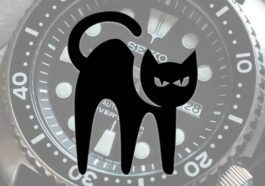 Ilustração Seiko atacada pelo grupo de ransomware blackCat