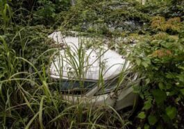 Carros elétricos abandonados