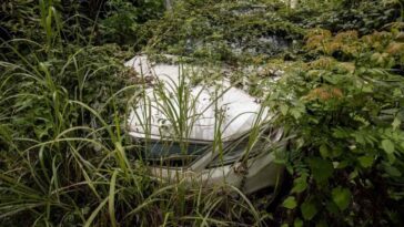 Carros elétricos abandonados