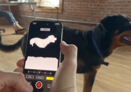 Um iPhone 14 Pro está a ser utilizado para construir próteses para animais de estimação