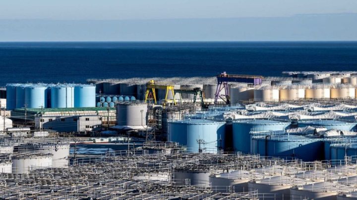 Centrale nucléaire de Fukushima : un jour plus tard, la radioactivité se fait-elle déjà sentir dans la mer ?