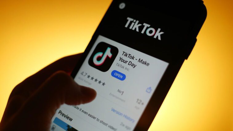 TikTok na Europa: o que muda com a Lei dos Serviços Digitais?
